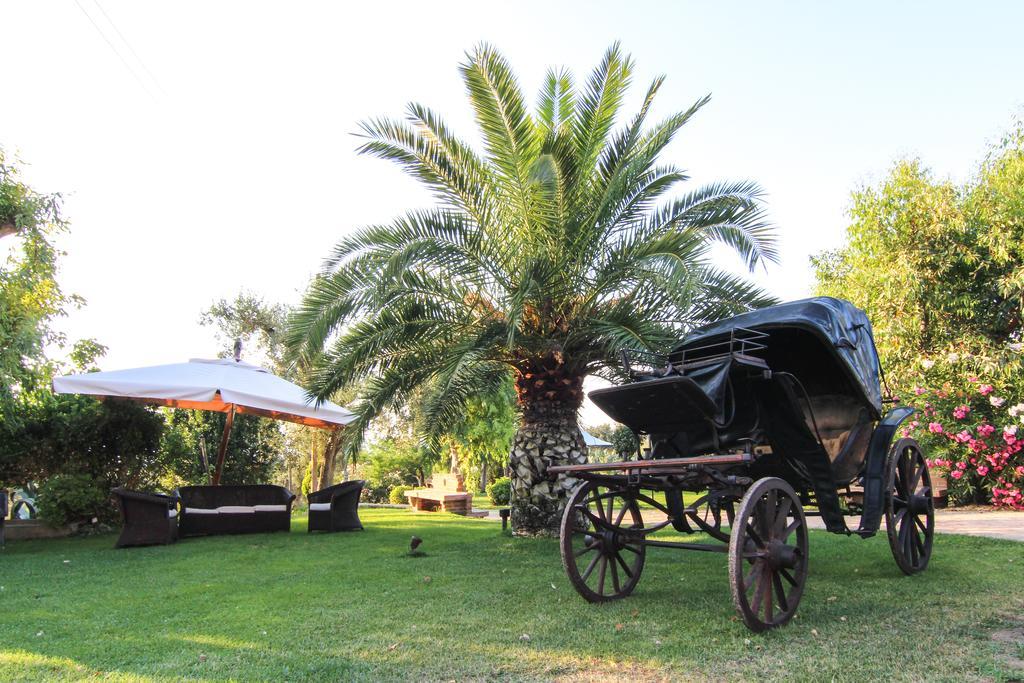 Le Colline Del Gelso-Masseria Mazzei Rossano Buitenkant foto